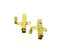 Charbons + supports (par 2) 6.610-258.0 - aspirateur karcher Autre G