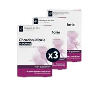 Chardon-Marie 14 000 mg - Haute teneur en Silymarine - 1 mois de cure intensive