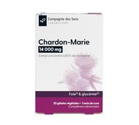 Chardon-Marie 14 000 mg - Haute teneur en Silymarine - 1 mois de cure intensive