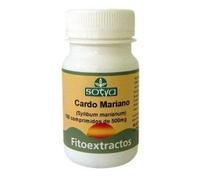 Chardon-Marie 500 Mg 100 Comprimés