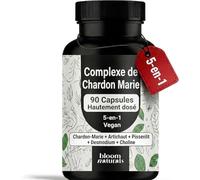 Chardon-Marie, Artichaut et Pissenlit - 90 Capsules Véganes (3 Mois) - Complexe 5-en-1 avec Silymarine, Desmodium et Choline - Fabriqué et Testé en Allemagne - Milk Thistle