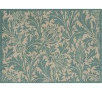 Chardon Tortue Verte Mat - RHS Collection - Très absorbante Tapis de barrière d'intérieur avec Dos Multi-Grip 60 x 85 cm