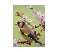 Chardonneret coloré sur Une Branche Fleurie，Puzzles Puzzle en Papier Abstrait 1000 Pièces Adultes Puzzles Haute Difficulté Cadeau d'apprentissage Créatif（50x70cm）-P13