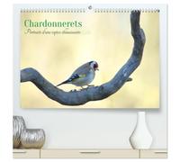 Chardonnerets Portraits d'une espèce éblouissante (Calendrier mural haut de gamme 2027 DIN A2 vertical), CALVENDO calendrier mensuel