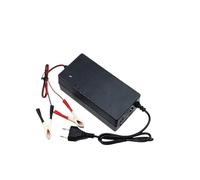 Chargeur 12,8 V 14,6 V 10 A 20 A 29,2 V 5 A 29,4 V 5 A, Compatible Avec Les Batteries 4S Et 8S, Chargeur De Batterie Lithium-fer-phosphate(29.2V 5A,XT60-SM)