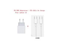 Chargeur 20w Adaptateur secteur USB-C rapide + PD Câble de chargement pour iPhone 12