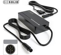 GO SOLID! Chargeur 36V Compatible avec VanDijck e-Bike 3 Broches