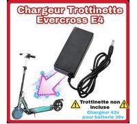 Chargeur 42v Evercross E4 pour trottinette électrique Evercross 36v - Noir - Engins hors-piste - Adulte