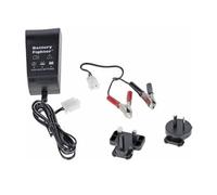 Chargeur batterie autoportée 12V - 200mAh GGP - 1134-9250-01 Pièce d'origine de la marque GGP portant la référence : 1134925001 ou