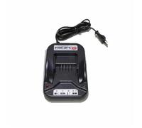 Chargeur batterie Briggs et Stratton Instart, 593562