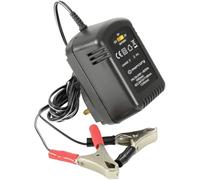 Chargeur de Batterie au Plomb-Acide | 2/6/12 V 600 mA