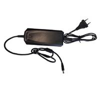 Chargeur de batterie BLUEBIRD 50.4V Standard Pour Machines 452030