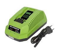 Chargeur de batterie de rechange 40 V 2 A compatible avec Greenworks 40 V Batterie lithium-ion 29482 29962 29472 290139 299302 BAF702 L-300 BAF704 BAF705 G-MAX Power Tools 29252 20202 2222 62 kg
