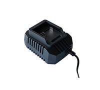 Chargeur de Batterie de Rechange pour électroportatif 20V