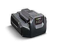 Chargeur de Batterie Ego Power+ CH2100E