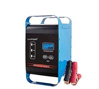 Chargeur De Batterie Intelligent 12V 40A 24V 20Amp entièrement Chargeur de batterie automatique mainteneur batterie, alimentation automatique de moto d'alimentation (Color : 1)