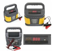 Chargeur De Batterie Intelligent À Microprocesseur 12V / 24V 60-200Ah
