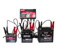Chargeur de batterie intelligent BS BATTERY BK20 6V/12V 3x2A