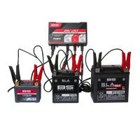 Chargeur de batterie intelligent BS BATTERY BK20 6V/12V 3x2A