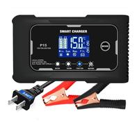 Chargeur de Batterie Intelligent P15 12 V/24 V 15 A, Charge en 9 étapes avec écran LCD, Commutation Automatique été/Hiver pour Batteries Plomb-Acide AGM Lithium LiFePO4