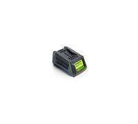 Chargeur de batterie universel G24UC 24 V 2,2 A 2913907