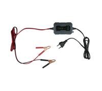 Chargeur d'Entretien DUNLOP 6/12V 230V - Maintien Batterie Véhicule, Détection Automatique, Facile & Sécurisée