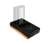Chargeur Dual (Prise de Courant, USB, mit LCD) pour DMW-BLJ31 Compatible avec Panasonic Lumix DC-S1, S1R, S1H