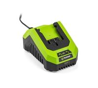 Chargeur FIELDMANN Pour batterie 20V Charge 2Ah en 60 min Compatible 2Ah 4Ah