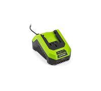 Chargeur - FIELDMANN - Pour batterie 20V - Charge 2Ah en 60 min - Compatible 2Ah, 4Ah