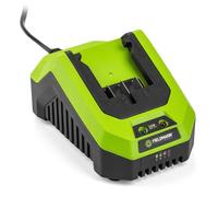 Fieldmann Accessories - FDUZ 79100 Chargeur rapide 20V 50004602
