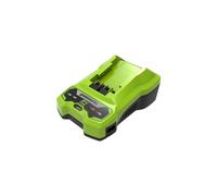 Chargeur GREENWORKS 24V - G24C