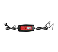 Chargeur pour batterie de voiture 2/4A, 6/12V