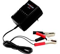 Chargeur pour batteries au plomb Ansmann 9164016/01 2 V, 6 V, 12 V, 24 V 1 pc(s)