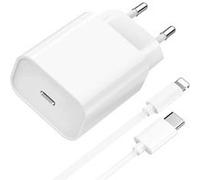 Chargeur rapide 20W + Cable pour iPad 4 5 6 7 8 9 iPad Air Génération 1 2 3 iPad Pro 1ère 2 ème génération iPad mini 1 2 3 4 5 - 1 mètre -