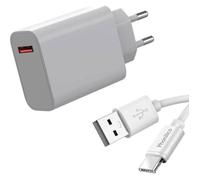 Chargeur Rapide 33W + Cable USB USB-C pour Xiaomi 13-12-Redmi Note 13-Redmi Note 12-Poco M4 PRO-Poco X5-Mi 11 Lite-Pad 6