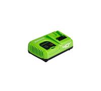 Chargeur rapide 40V 5,0Ah GREENWORKS - G40UC5