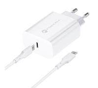 Chargeur Rapide AFC® pour Google Pixel 8a, 8 Pro, 8, 7a, 7-25W Adaptatif Câble USB-C 1m