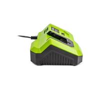 Chargeur rapide FIELDMANN Pour batterie 20V Charge 2Ah en 30 min Compatible 2Ah 4Ah