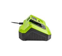 Fieldmann Chargeur rapide pour batterie 20V – Charge 2Ah en 30 min – Compatible 2Ah/4Ah/8Ah