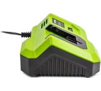 Chargeur rapide - FIELDMANN - Pour batterie 20V - Charge 2Ah en 30 min - Compatible 2Ah, 4Ah, 8Ah