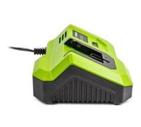 Chargeur rapide FIELDMANN Pour batterie 20V Charge 2Ah en 30 min Compatible 2Ah 4Ah