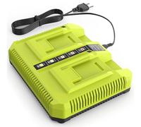 Chargeur Rapide PASUKTER à 2 Ports pour Batterie au Lithium RYOBI OP401 40 V, Compatible avec Les modèles OP4015, OP4026, OP4040 et OP4050, Chargeur de Remplacement pour Batterie Ryobi 40V