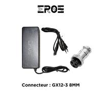 Chargeur Rapide Universel de Trottinette Électrique pour Batterie 48V / Connecteur : GX12-3 8MM