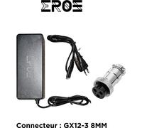 Chargeur Rapide Universel de Trottinette Électrique pour Batterie 52V