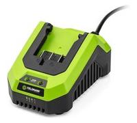 Fieldmann Chargeur pour batterie 20V – Charge 2Ah en 60 min – Compatible 2Ah/4Ah
