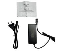 Chargeur standard batterie 12v potence trottinette électrique dualtron