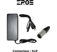 Chargeur Standard Universel de Trottinette Électrique pour Batterie 48V
