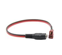Chargeur XT60/XT30 vers DC 5,5 x 2,1 mm for Lunettes B6(for T Connector)