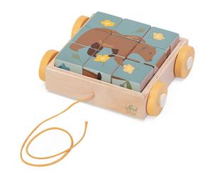 Chariot 6 Puzzles 9 cubes en bois Animaux des montagnes Sevi 1831®