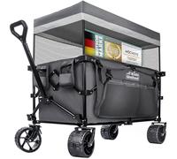 Chariot à Main de Transport Pliable; Buggy de Plage jusqu'à 90 L et 150 kg ; Roues XXL avec Frein ; Chariot de Camping pour Le Jardin et l'extérieur ; poignée réglable (Gris)